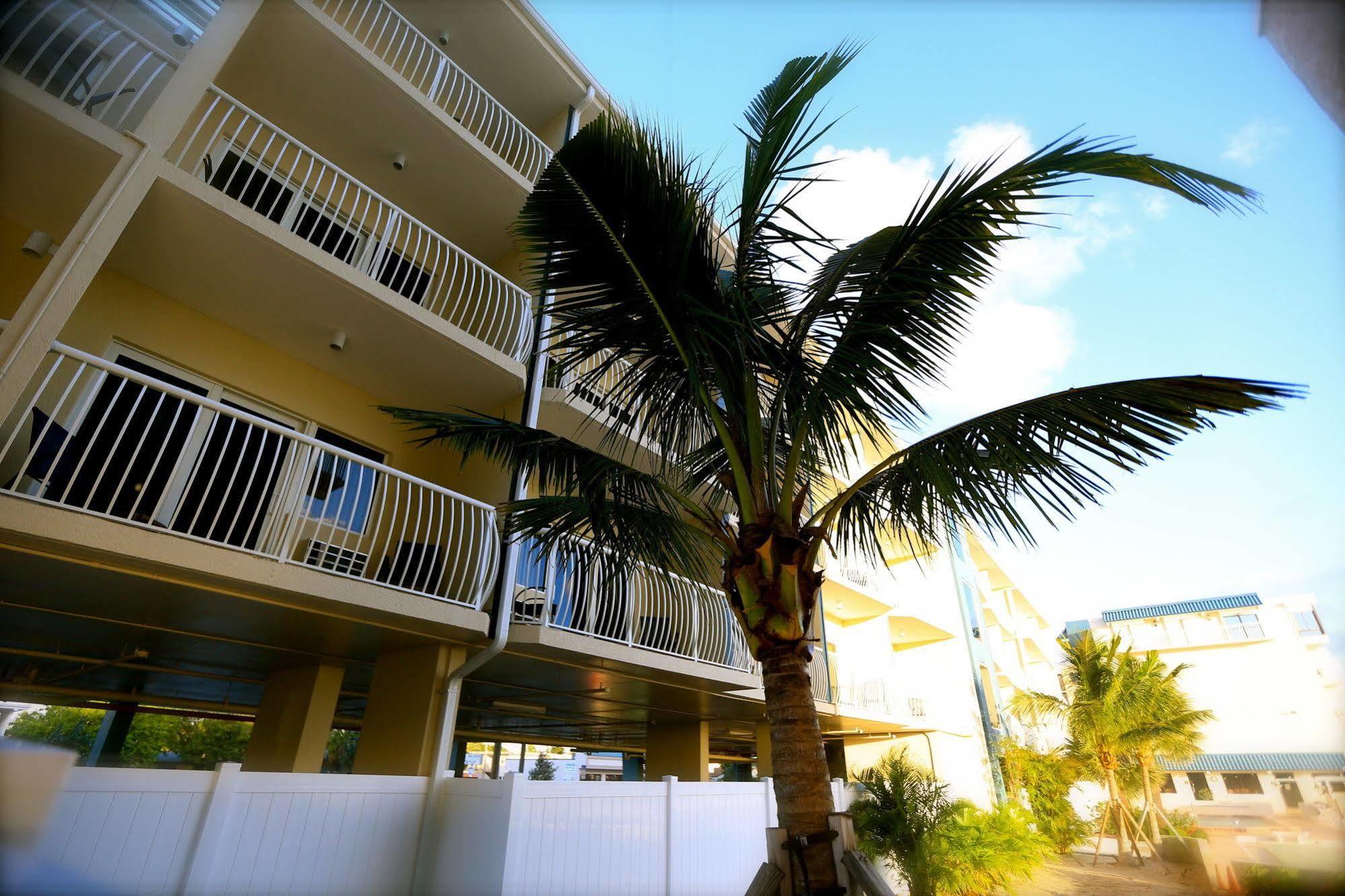 Shoreline Island Resort - Exclusively Adult Madeira Beach Exterior photo